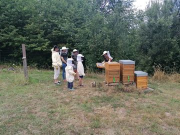 BUND-Spechte stehen vor Bienestock und lassen sich etwas erklären