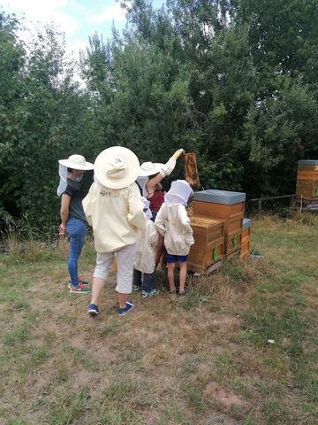 Gruppe steht um Bienenstock herum